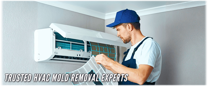 HVAC Mold Removal Carol Stream IL